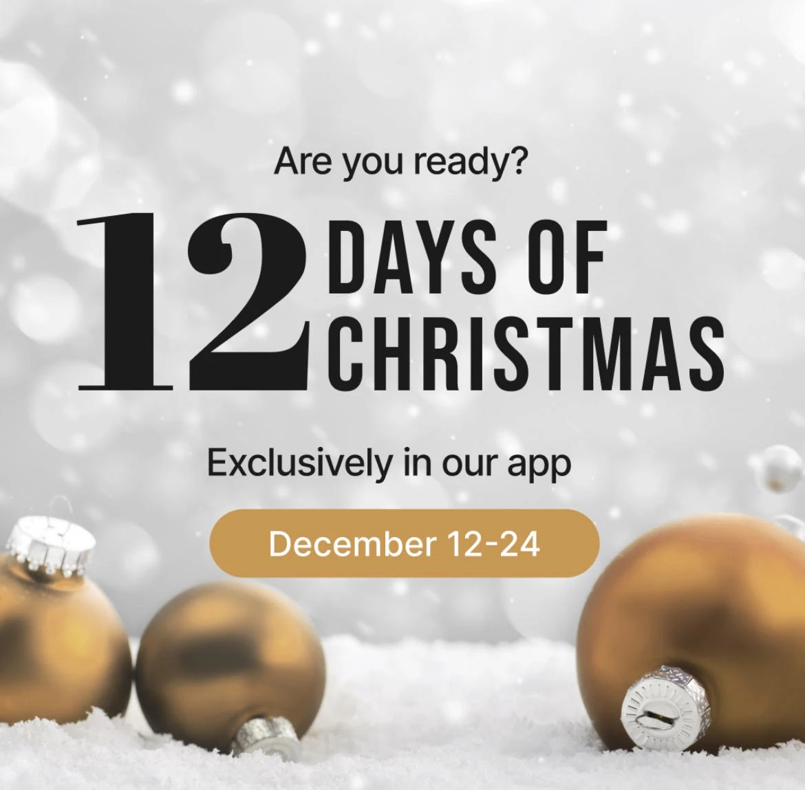 12 Days of Christmas Special Offer